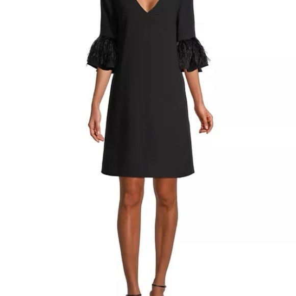 Elegant Black Dress with Feathered Sleeves - Picture 1 of 15